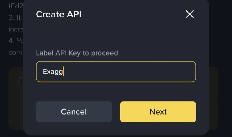 命名 API Key